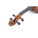 GEWA Violin Maestro 1 1/4 GS400.074.120.4