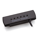 Seymour Duncan WOODY XL BLK