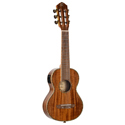 Ortega Mini/Travel Guitar 17 inch RGLE18ACA