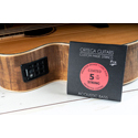 Ortega String Set 5-String ABP-5