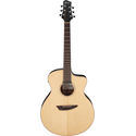 Ibanez Platinum Acoustic 6-Str PA300E-NSL