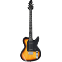 Ibanez Signature Guitar 6-Str NDM5-SB